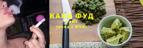 индика Зеленодольск