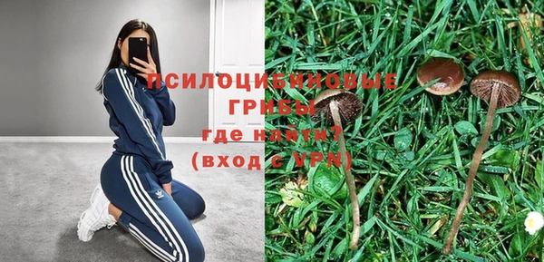 бошки Армянск