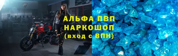спайс Арсеньев